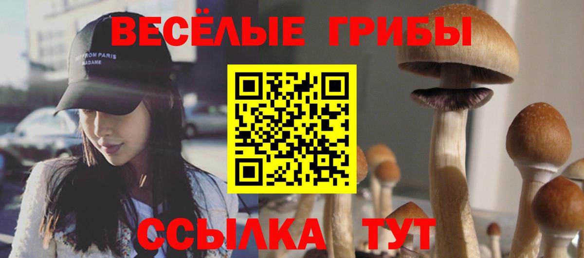 Карачаевск  Псилоцибиновые грибы GOLDEN TEACHER  Вход с VPN 